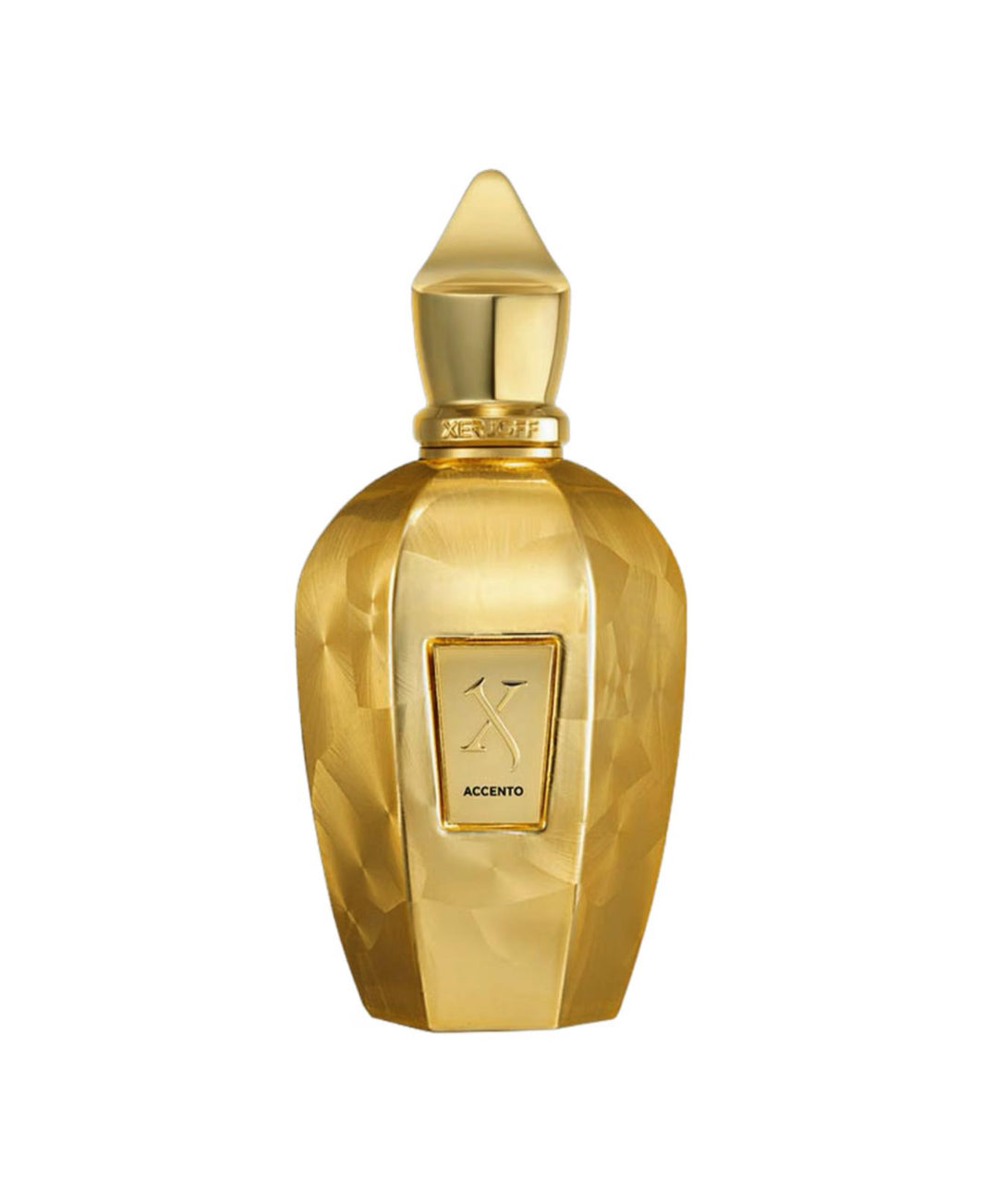 Xerjoff- Perfume Accento Overdose 100 ml Unisex